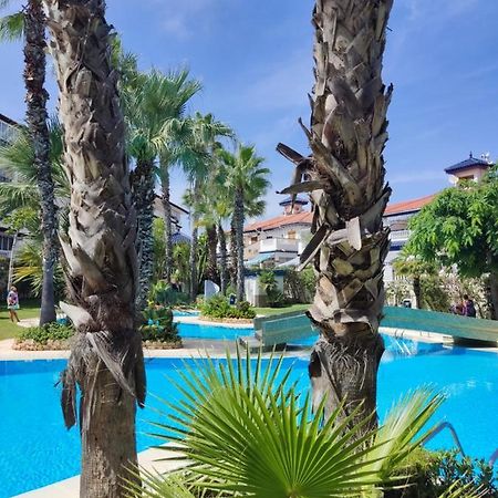 Sunny Apartment Costa Blanca La Mata  Exterior foto